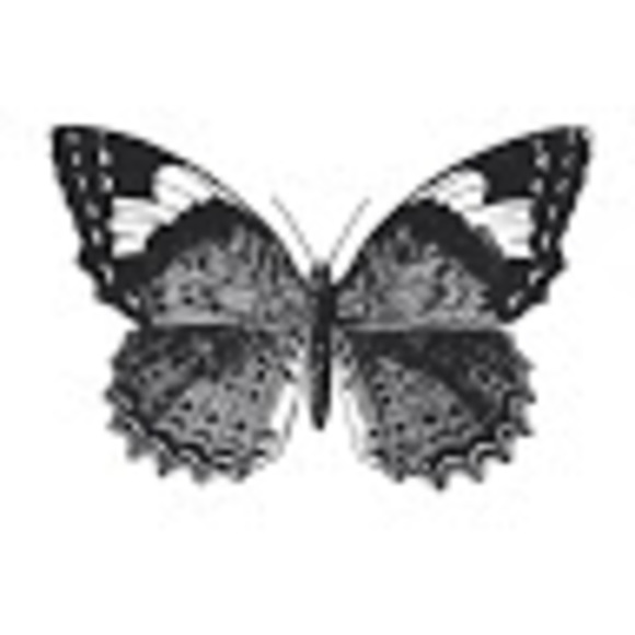 Meet your Posher, Astrid - Picture 1 of 1